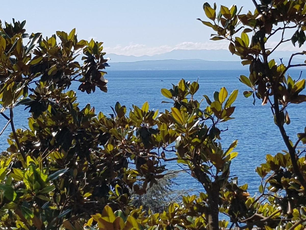 Sunny 150 M From The Sea